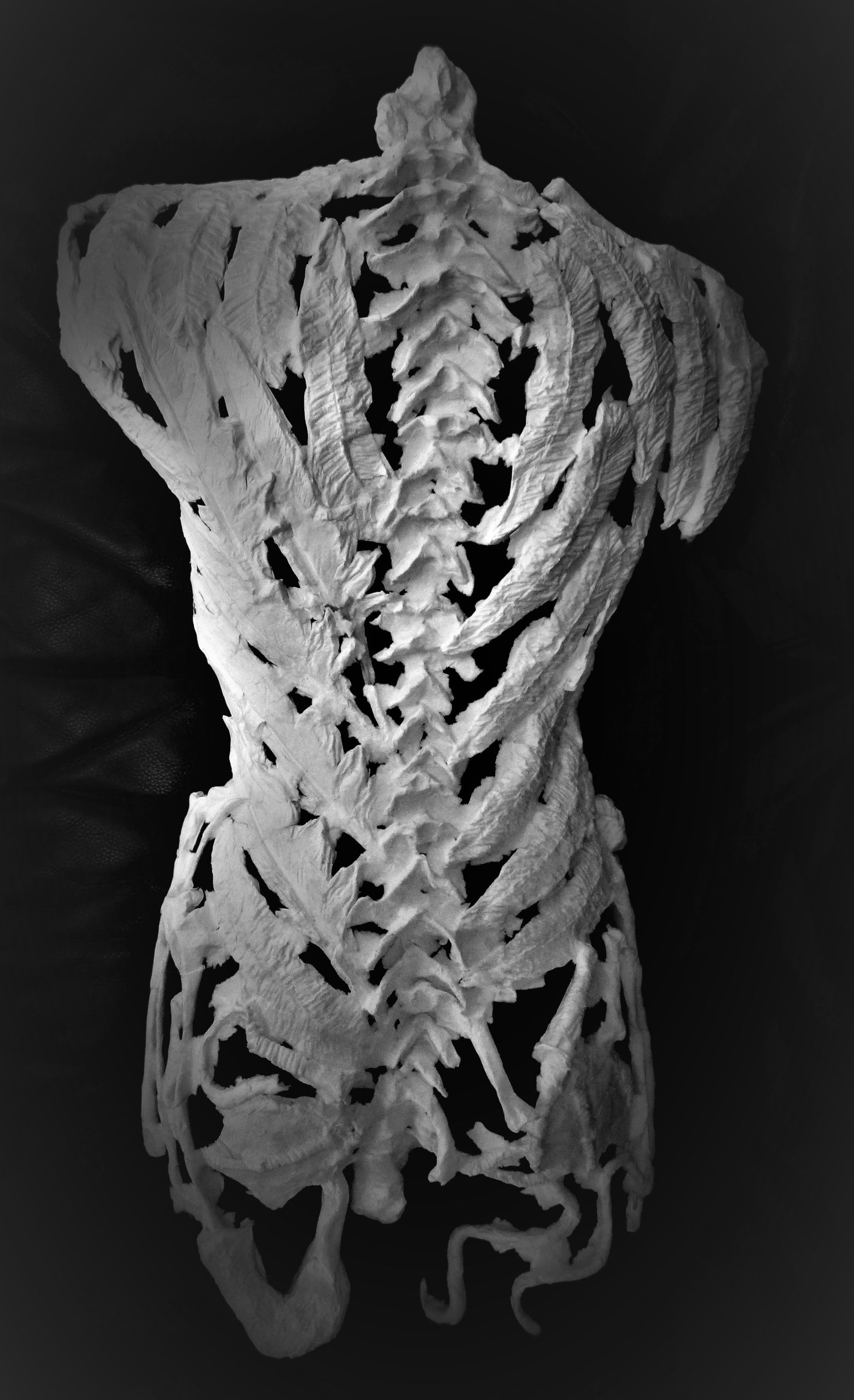 MORAINE-Sophie-2021-Série Cardo-ArtDeLaMémoire3-Papier-110 cmHauteur