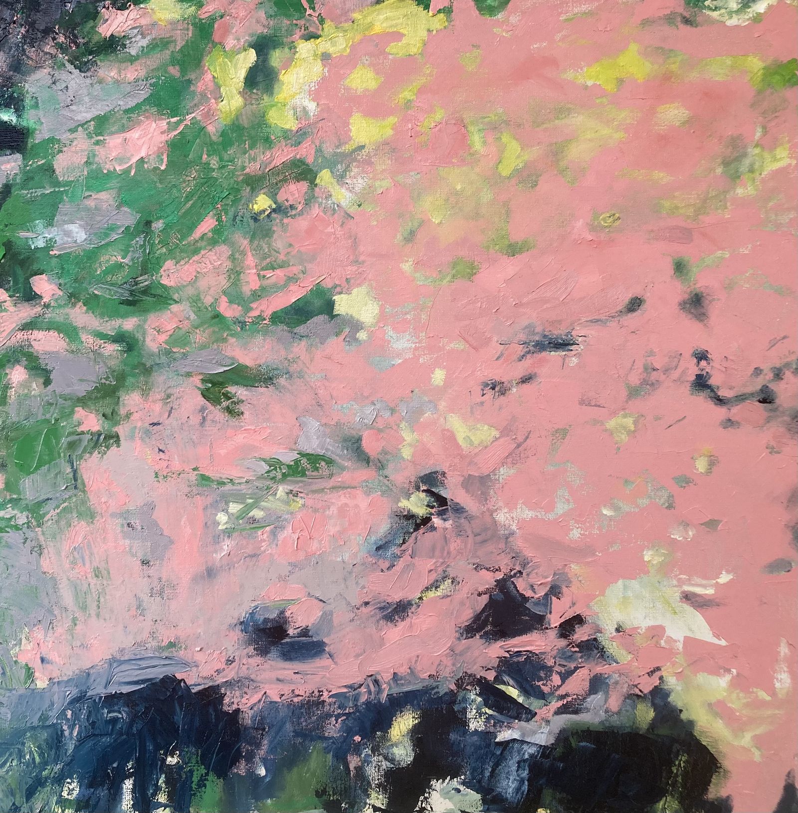 Fragments roses