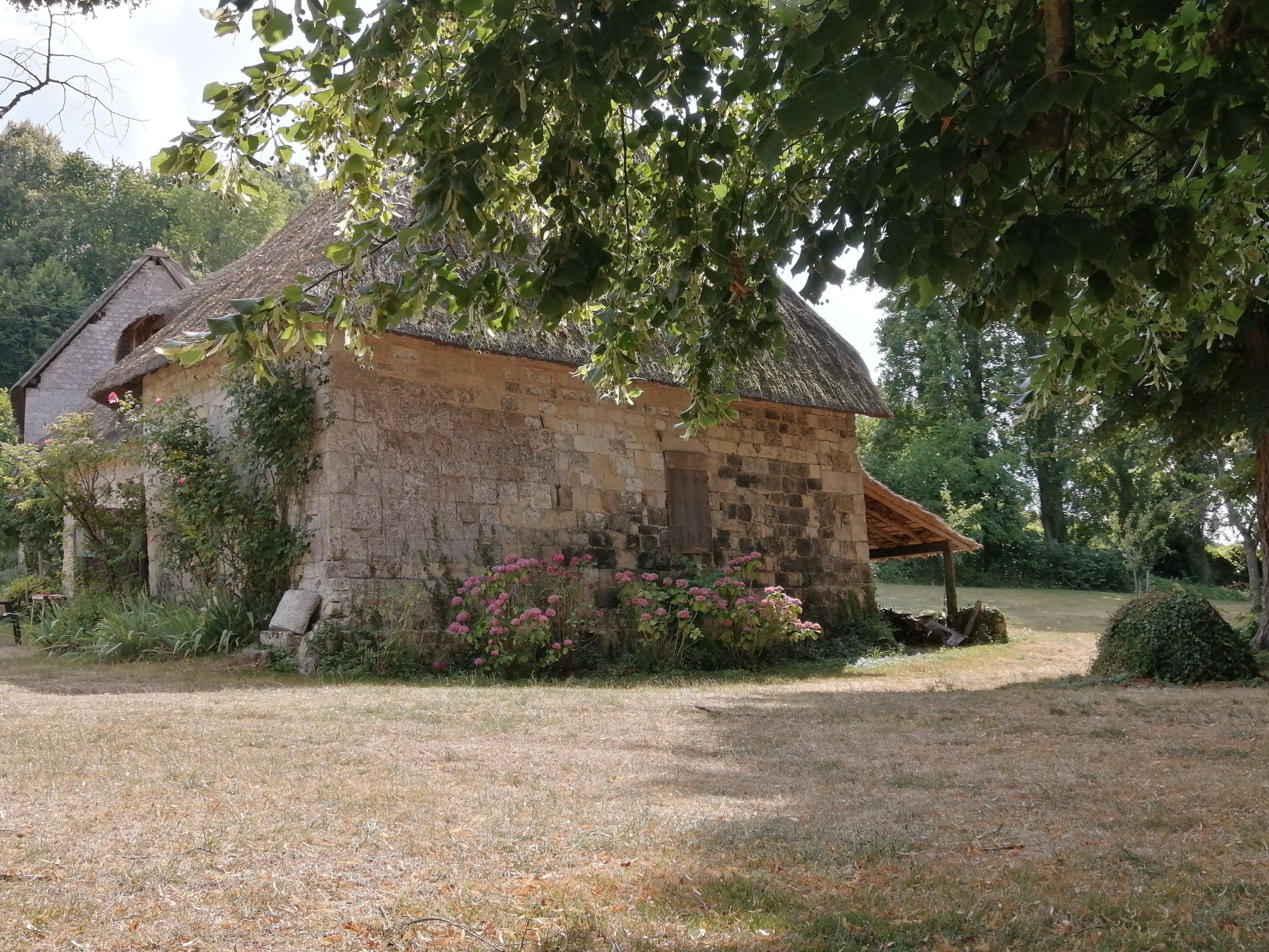 Le parc de l'abbaye